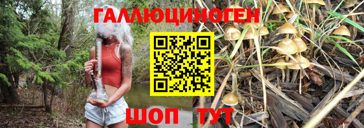 Шелехов  Псилоцибиновые грибы мицелий  Вход с VPN 